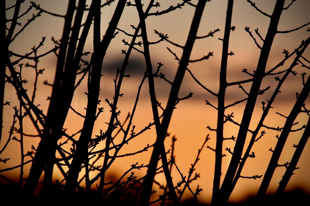 sunrise, dawn, morning, sky, fall, nature, landscape, dawn, dawn, dawn, dawn, dawn, morning, landscape, landscape